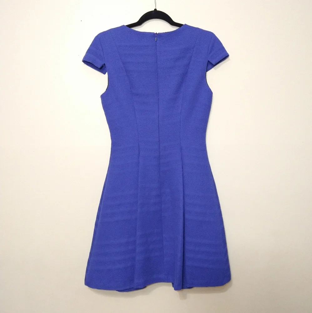 Zara Basic Royal Blue A-Line Structured Cocktail Dress With Jewel Neckline Small - Picture 8 of 14